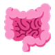 Colonoscopy
